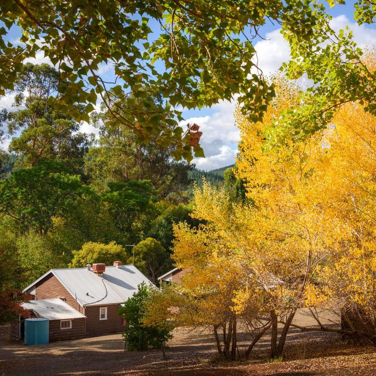 Lewana Cottages Balingup Esterno foto