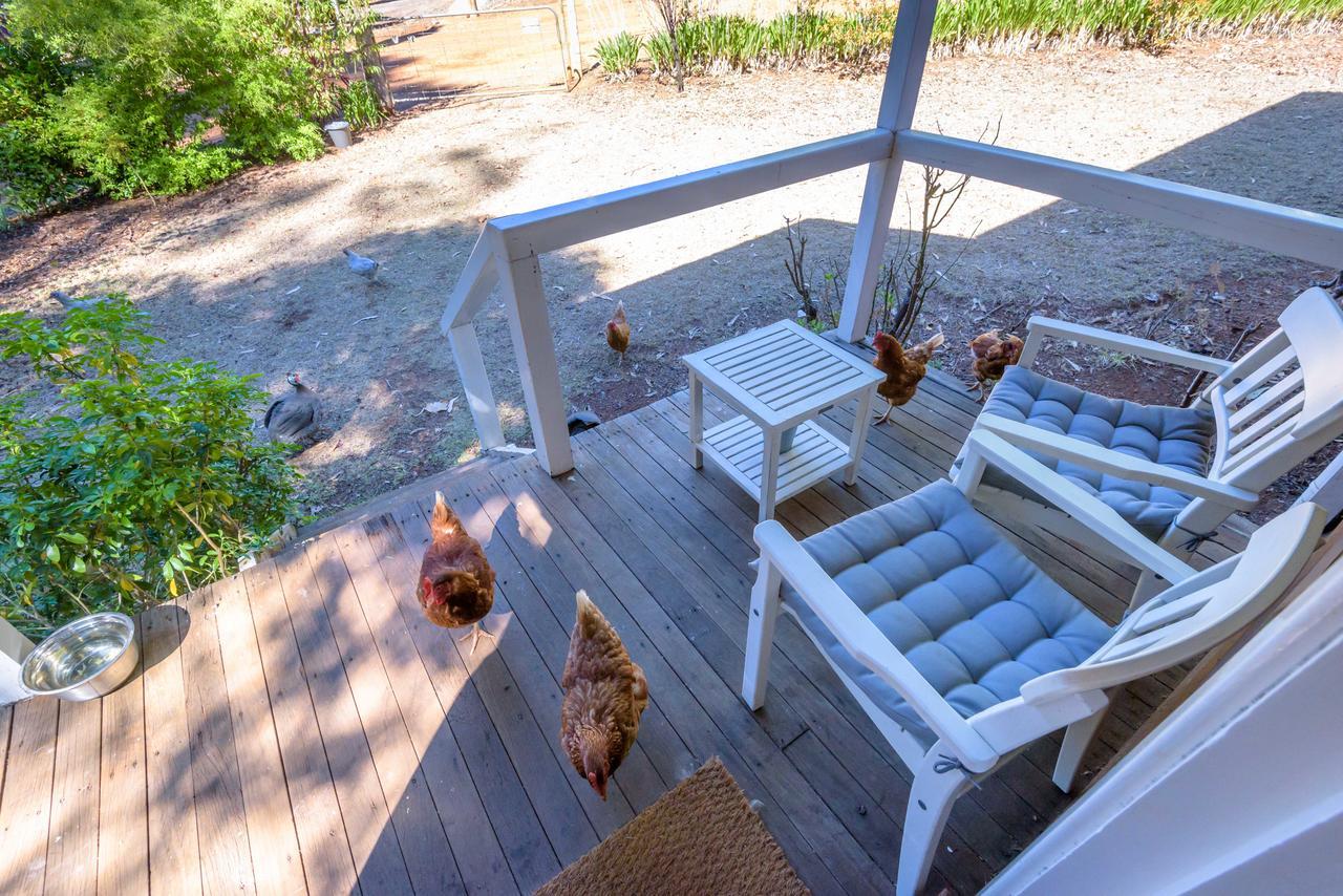 Lewana Cottages Balingup Esterno foto